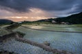 Beautiful landscape rice fields on terraced of Ban Pa Bong Piang in the rainy season, Chiangmai, Thailand Royalty Free Stock Photo