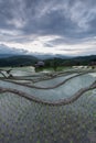 Beautiful landscape rice fields on terraced of Ban Pa Bong Piang at sunset in the rainy season, Chiangmai, Thailand Royalty Free Stock Photo