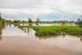 A beautiful landscape with rice fields and trees somewhere in Isaan in the east of Thailand Royalty Free Stock Photo