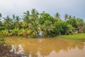 A beautiful landscape with rice fields and trees somewhere in Isaan in the east of Thailand Royalty Free Stock Photo