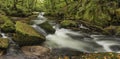 Beautiful landscape of river flowing through lush forest Golitha Royalty Free Stock Photo