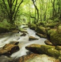 Beautiful landscape of river flowing through lush forest Golitha Royalty Free Stock Photo