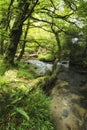 Beautiful landscape of river flowing through lush forest Golitha Royalty Free Stock Photo