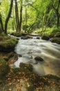 Beautiful landscape of river flowing through lush forest Golitha Royalty Free Stock Photo