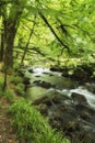 Beautiful landscape of river flowing through lush forest Golitha Royalty Free Stock Photo