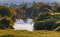 Beautiful Landscape of a river and forest in morning sunray and fog at British Columbia Canada. Mystery forest and river Royalty Free Stock Photo