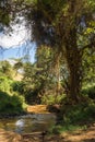 Beautiful landscape with river at Naivashi, Kenia Royalty Free Stock Photo
