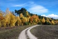 Beautiful landscape with road near autumn forest (loop, purpose, life search, arc - concept)