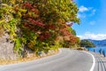 Beautiful landscape road side around lake kawaguchiko Royalty Free Stock Photo