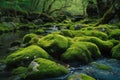 Beautiful Landscape of rocks covered with silt in a river, AI Generated