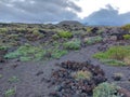 beautiful landscape with rocks, sand and grass.Tenerife Island