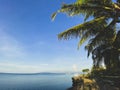 Beautiful landscape of the rocky coast with palm trees close-up. Boats in the sea background,blue sky.Shadow trend Royalty Free Stock Photo