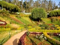 Beautiful landscape of rose garden Ooty Royalty Free Stock Photo