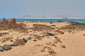 Beautiful view of the beach in Isla de Lobos, Fuerteventura, Canary Islands, Spain