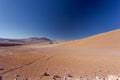 Beautiful landscape of sand dunes and desert bushes with a lonely mountain in the horizon. Desert saltgrass grow in the middle of