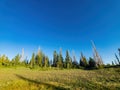 Beautiful landscape saw from Chessman Ridge Overlook of Cedar Breaks National Monument Royalty Free Stock Photo