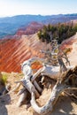 Beautiful landscape saw from Sunset View Overlook of Cedar Breaks National Monument Royalty Free Stock Photo