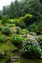 Beautiful landscape sceneries in Azores Portugal. Tropical nature in Sao Miguel Island, Azores. Royalty Free Stock Photo