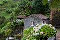 Beautiful landscape sceneries in Azores Portugal. Tropical nature in Sao Miguel Island, Azores.