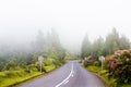 Beautiful landscape sceneries in Azores Portugal. Tropical nature in Sao Miguel Island, Azores. Royalty Free Stock Photo