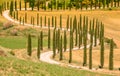 Beautiful landscape scenery of Tuscany in Italy - cypress trees along white road - aerial view -  close to Asciano, Tuscany, Italy Royalty Free Stock Photo