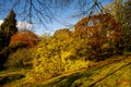 A beautiful display of autumn colours at Wakehurst Place, West Sussex, England Royalty Free Stock Photo