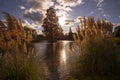 A stunning lakeland scene at Wakehurst Place, West Sussex, England Royalty Free Stock Photo