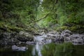 Beautiful landscape of Scotland ,UK.Stream with rocks and fallen tree in forest Royalty Free Stock Photo