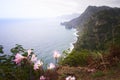 Sea and cliffs, pink flowers and waterfall in Quinta do Furao, Santana, Madeira, Portugal Royalty Free Stock Photo