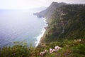 Sea and cliffs, pink lilly flowers and waterfall in Quinta do Furao, Santana, Madeira, Portugal Royalty Free Stock Photo