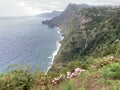Beautiful landscape with sea and cliffs, pink lilly flowers and waterfall in Quinta do Furao, Santana, Madeira Royalty Free Stock Photo