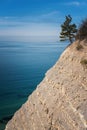 Beautiful landscape sea view, vertical shot. Pine on a rock on Black Sea coast Royalty Free Stock Photo