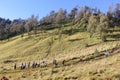 Beautiful landscape in Semeru mountain Royalty Free Stock Photo