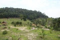 Beautiful landscape shot of a green vegetation valley with a wooden shelter hut, a big rock, palm trees in the middle of the Royalty Free Stock Photo