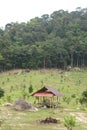 Beautiful landscape shot of a green vegetation valley with a wooden shelter hut, a big rock, palm trees in the middle of the Royalty Free Stock Photo