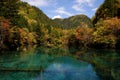 Beautiful landscape shot of a lake and colorful trees at the Jiuzhaigou National Park in China Royalty Free Stock Photo