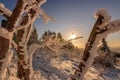 Beautiful landscape shot in winter with snow and ice. Nature in winter at sunset, Feldberg, Taunus, Hesse