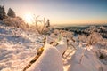 Beautiful landscape shot in winter with snow and ice. Nature in winter at sunset, Feldberg, Taunus, Hesse