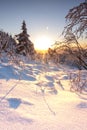 Beautiful landscape shot in winter with snow and ice. Nature in winter at sunset, Feldberg, Taunus, Hesse