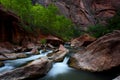 Beautiful landscape shot of the Virgin River in Zion National Park in Utah Royalty Free Stock Photo