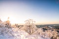 Beautiful landscape shot in winter with snow and ice. Nature in winter at sunset, Feldberg, Taunus, Hesse