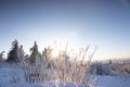 Beautiful landscape shot in winter with snow and ice. Nature in winter at sunset, Feldberg, Taunus, Hesse