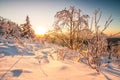 Beautiful landscape shot in winter with snow and ice. Nature in winter at sunset, Feldberg, Taunus, Hesse