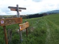 Beautiful landscape on hiking-trail Saar-HunsrÃÂ¼ck-Steig in germany