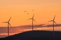 Beautiful landscape with silhouettes of three wind turbines on a hill in the sunset light and birds