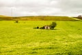 Beautiful landscape with a small house with trees. Royalty Free Stock Photo