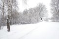 Beautiful landscape with snow-covered path in the forest among the trees on winter day Royalty Free Stock Photo