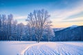 A beautiful landscape of a snowy Norwegian winter day.