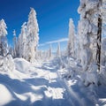 Beautiful landscape, snowy road in the forest between the trees, winter sseason. Generative AI Royalty Free Stock Photo