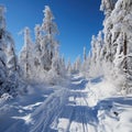Beautiful landscape, snowy road in the forest between the trees, winter sseason. Generative AI Royalty Free Stock Photo